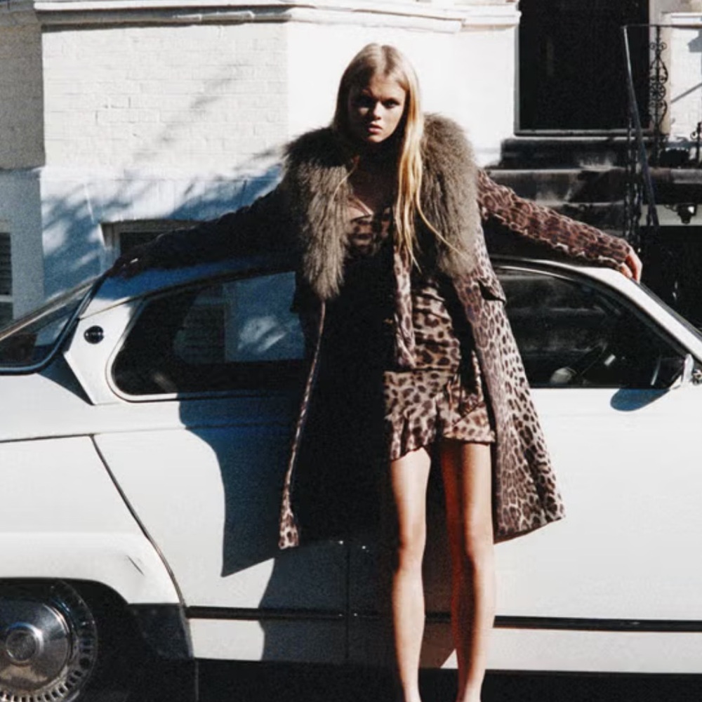 NWT| Charlotte Simone Leopard Coat